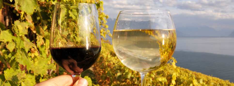 wine-switzerland