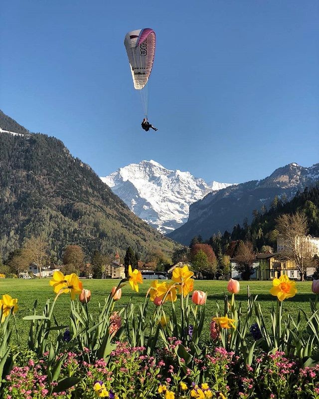paragliding summer interlaken