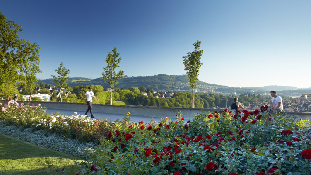 rose garden discover bern