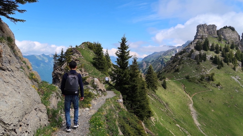 schynige platte jungfrau region