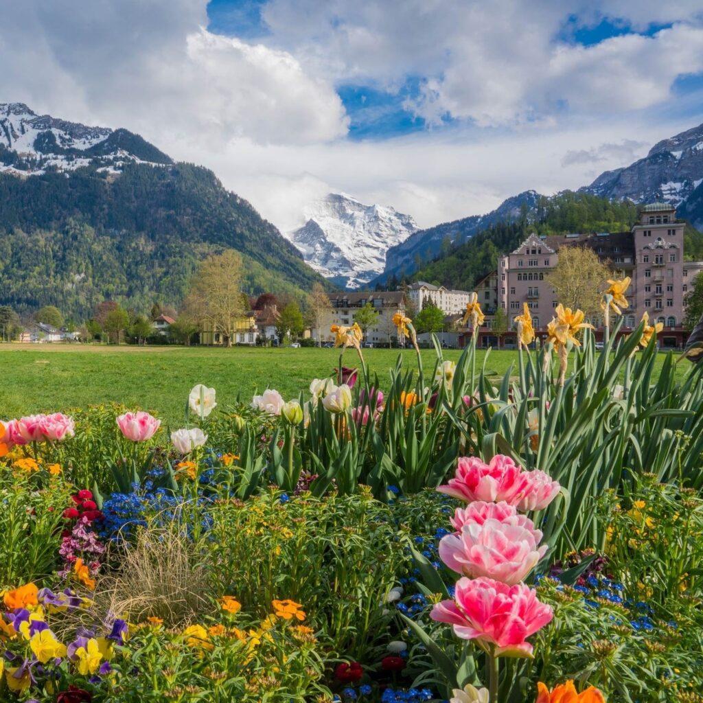 spring interlaken