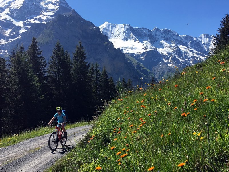 murren biking loop