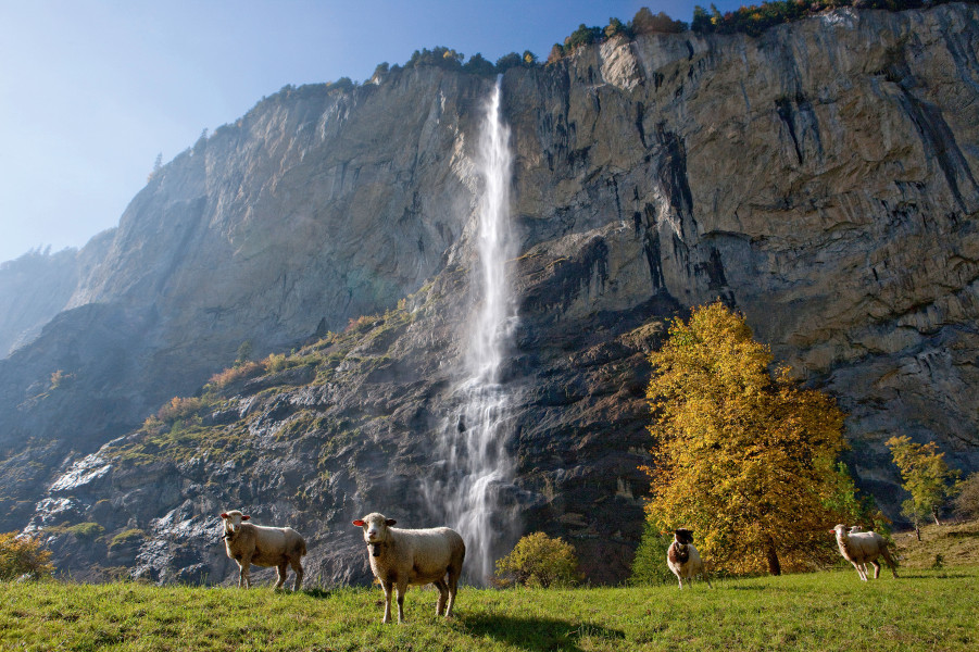 Staubbachfalls lauterbrunnen